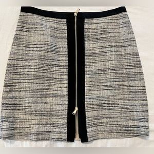 Ann Taylor Skirt
